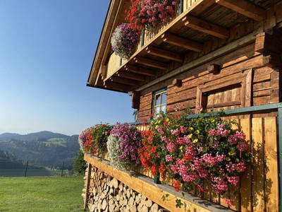 Bild 2 aus  Chalet Hütte in Kärnten