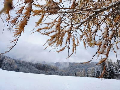 Bild 6 aus  Stillerhof