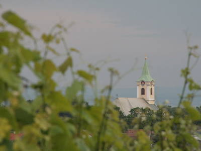 Bild 13 aus  Pension Hareter