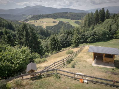 Bild 7 aus  Nussbolterhube