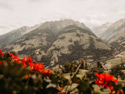 Bild 29 aus  Chalet Mittner Wirt