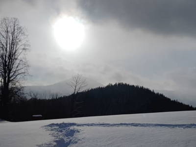 Bild 67 aus  Steinwandhof