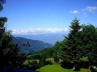 Bild 67 aus Bauernhof Pension Juri