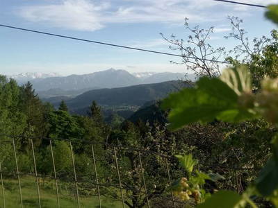 Bild 31 aus  Kreinzhuabn