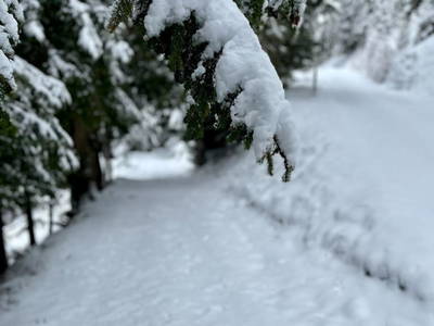 Bild 55 aus  Almferienhaus Truskaller