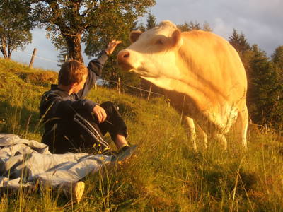 Bild 16 aus  Bäuerlicher Gästering Großarltal