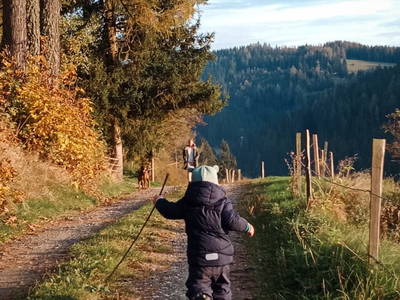 Bild 26 aus  Sank Haus - Alte Mühle