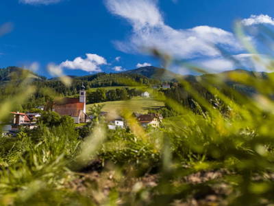 Bild 57 aus  Hofquartier Retzmoar