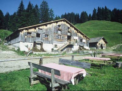 Bild 23 aus  Bauernhof Schneider