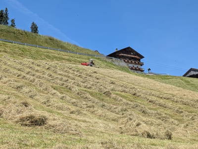 Bild 99 aus  Schuistlhof