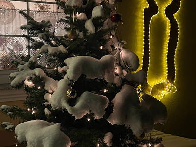 Weihnachtslichter am Talhof
