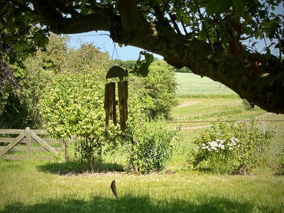 Bild 7 aus  Hof Sonnenmeer - nachhaltig, ökologisch & einzigartig schön