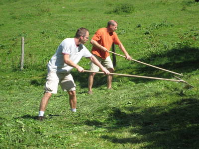 Bild 36 aus  Taxengut