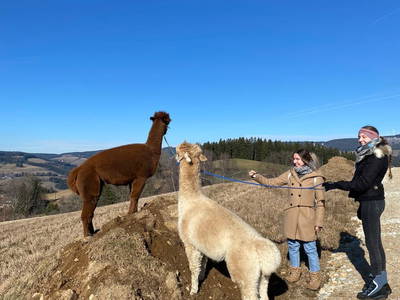 Bild 77 aus  Biohof Kroisleitner