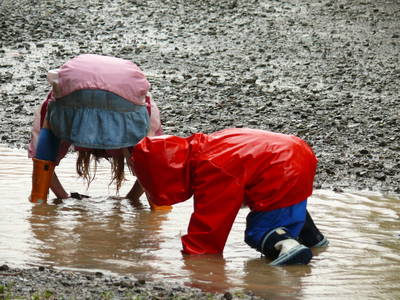 Bild 6 aus  Demeterhof Dünninger
