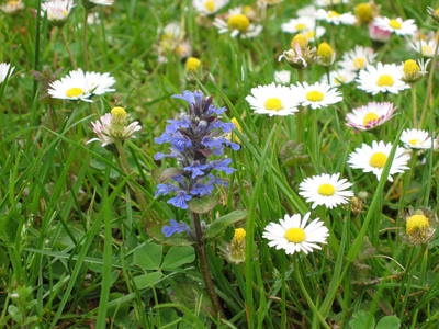 Bild 22 aus  Bio-Bauernhof Kranzbauer