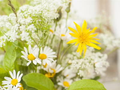 Bild 27 aus  Heinreichgut Almhütte