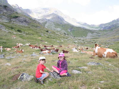 Bild 40 aus  Praschhof