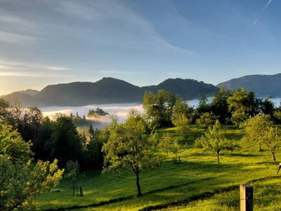 Bild 184 aus  Ferienhof Rabenreith