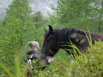 Bild 23 aus  Ferienwohnung Feistritzer Holdernig