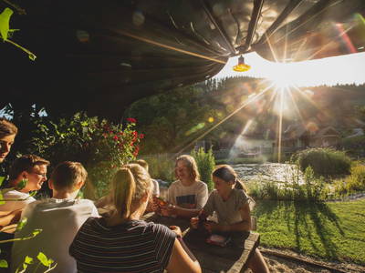 Bild 264 aus  Michlbauer