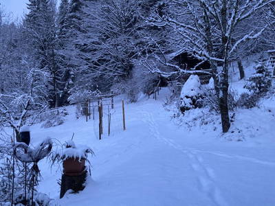Bild 105 aus  Kräutlhütte Auer
