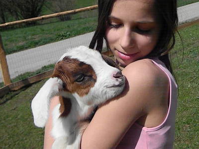 Bild 114 aus  Plaiknerbauer