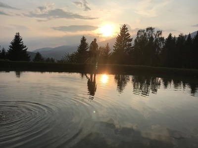 Bild 82 aus  Almchalet Nikola