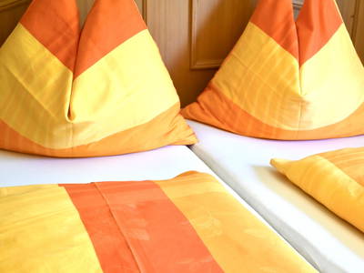 Bild 41 aus  Hinteregger