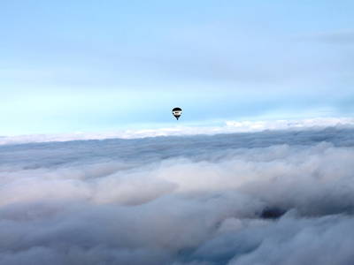 Bild 93 aus  Postl's Hirschbirnhof