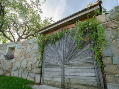 Bild 54 aus   Pammer - Jahn