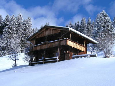 Bild 11 aus  Berghütte Boid