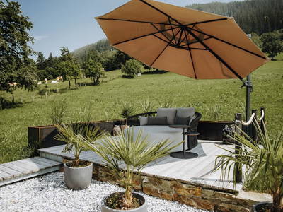 Bild 153 aus  Taxengut