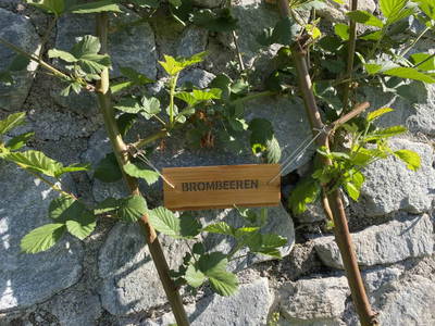 Bild 23 aus Alpenfarm Poschhof