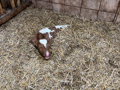 Bild 180 aus  Pimperlhof