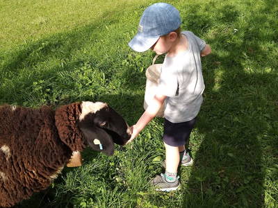 Bild 128 aus  Anderlbauer