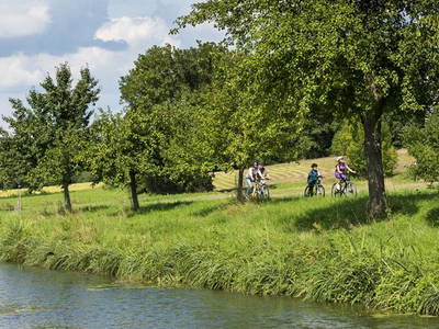 Bild 31 aus  Ferienhof Buchberger