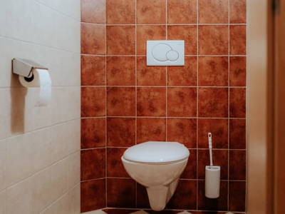 Bild 86 aus  Auerhias Bauer am Wolfgangsee