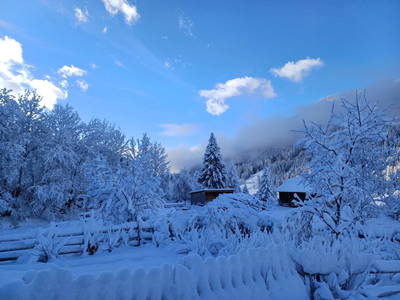 Bild 31 aus  Kandolf