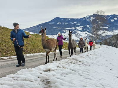 Bild 89 aus  Pfleger Ranch am Schönegg Gut