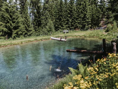 Bild 90 aus  Pension Zechnerhof