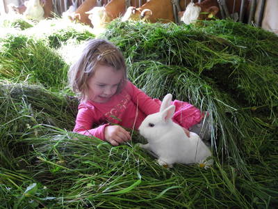 Bild 56 aus  Peter in der Edt