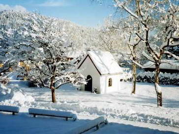 Bild 17 aus  Lettnerhof