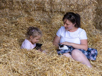 Bild 14 aus  Großrachlhof