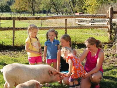 Bild 19 aus  Huberhof