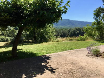 Bild 23 aus  Domaine de La Bastidonne (PROVENCE-LUBERON)