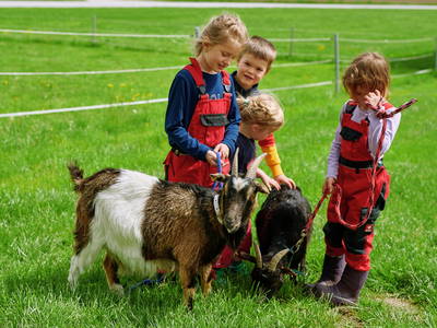 Bild 13 aus  Lohner-Hof