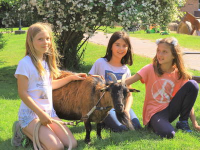 Bild 74 aus  LandSelection Ferienbauernhof Liesenberg mit traumhaften Meerblick