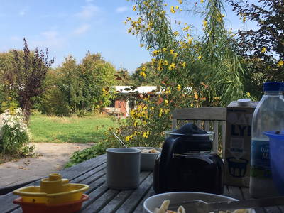 Bild 14 aus  WindWeiteWattenmeer Ferien in Tossens