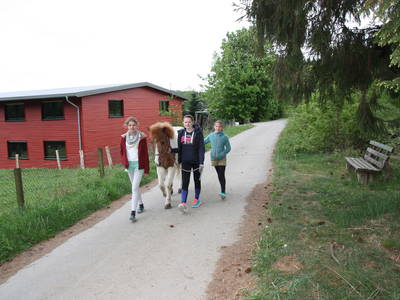 Bild 4 aus  Pension Haus Hoppe